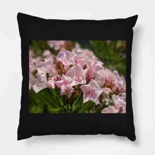 Pink Florida Flowers 2 Pillow