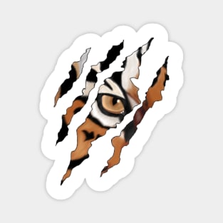 Tiger claw face Magnet