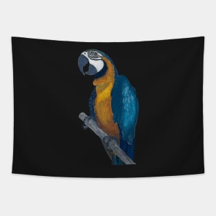 Blue + Yellow Macaw on a Twig Scientific Drawing Tapestry