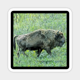 bison Magnet