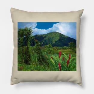 Maunawili Pillow