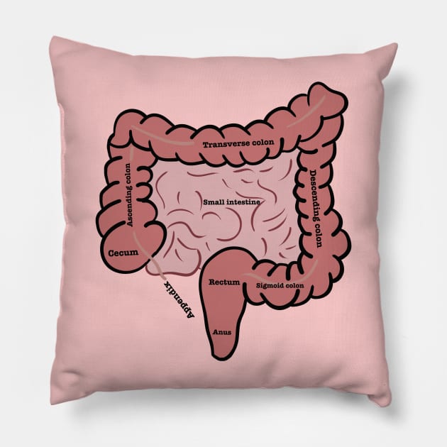 Gastroenterology Pillow by Mermaidssparkle