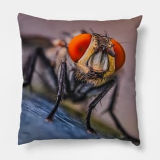 Flesh Fly Macro Insect Photograph Pillow