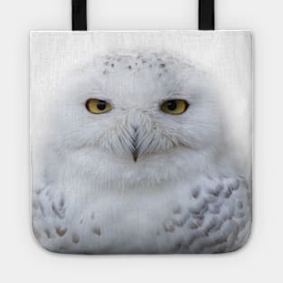 A Serene Snowy Owl Tote