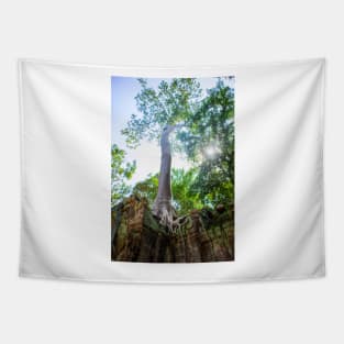 Giant Banyan Tree atop Ta Prohm Temple Tapestry