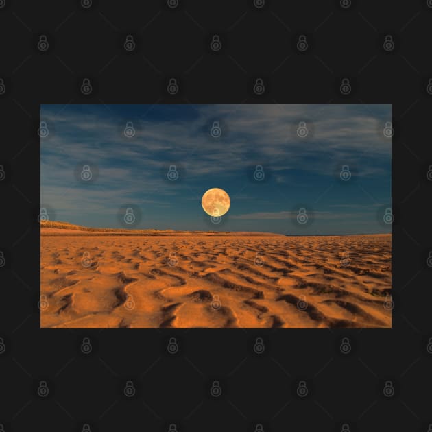 Moon across the Sands by dhphotography