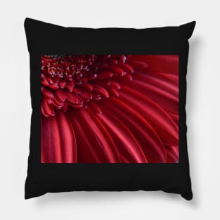 Red Flower Pillow