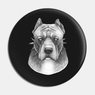 Pitbull on black Pin