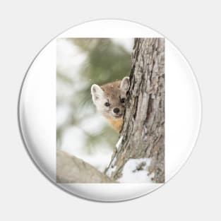 Pine Marten Pin