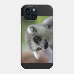 Ring-Tailed Lemur 2 Phone Case