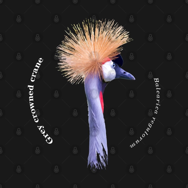 Grey crowned crane tropical bird pin white text by Ornamentum