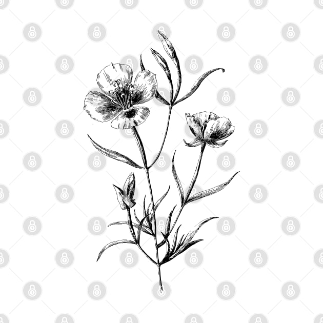 California Poppy Flower Black and White Vintage Botanical Illustration, by Biophilia