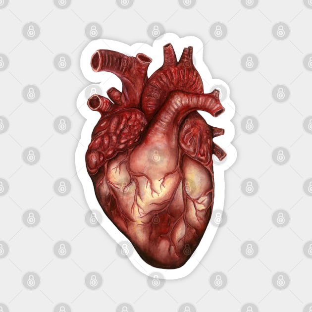 Human Heart Anatomy: Anatomical Art, Watercolor Doctor Halloween Gift Magnet by OssuariumFloreus 