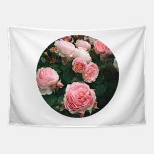 Dark Rose Tapestry