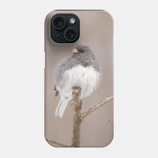 Fluffy Dark Eyed Junco with brown/tan blurred background Phone Case