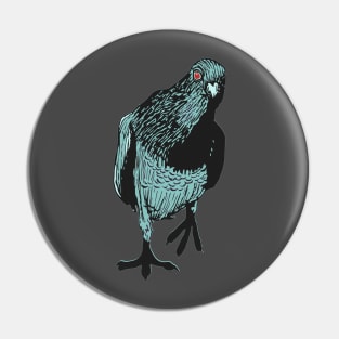 Curious Red-eyed Pigeon Pin