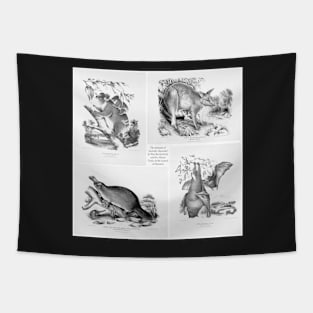 The Mammals Of Australia Tapestry