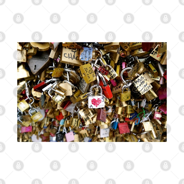 Love Locks in Paris by Ludwig Wagner