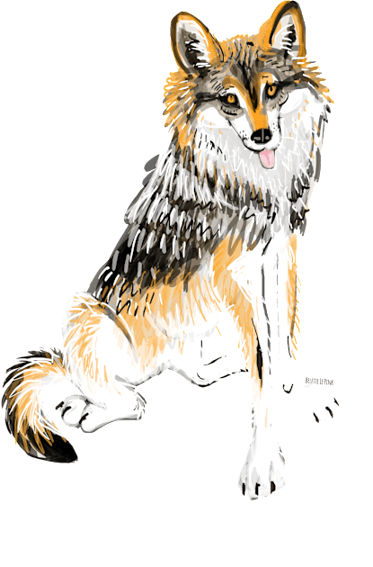 Mexican Wolf #1 Kids T-Shirt by belettelepink