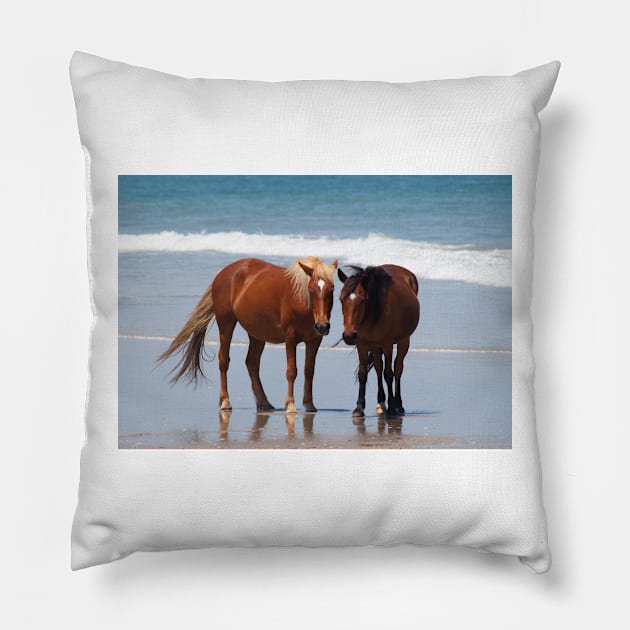 Beach Dreams Pillow by Jacquelie