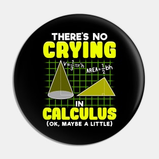 There's No Crying In Calculus (Ok, Maybe a Little) Pin