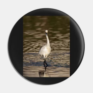 Snowy White Egret Staredown Pin