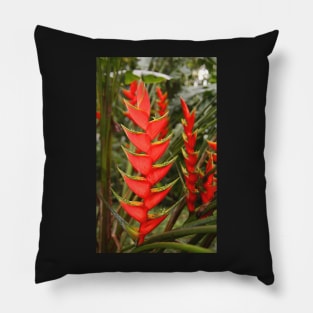 An Exotic Heliconia Pillow