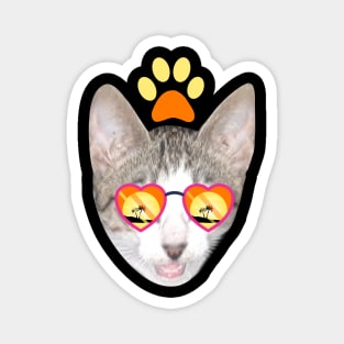 Meowvellous Moments: Cat's Sunglasses Summer Escapade Magnet