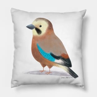 Eurasian Jay Bird Pillow