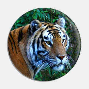 Tiger Pin