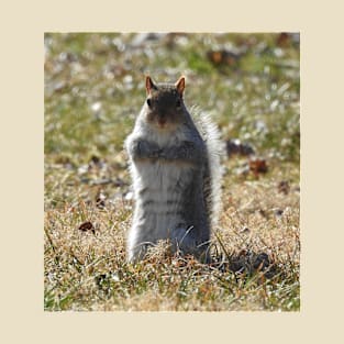 Wildlife gifts, eastern ground squirrel, nature, wild animals T-Shirt