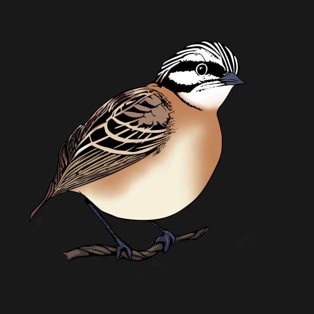 Fantail Bird Design by PasifikTee