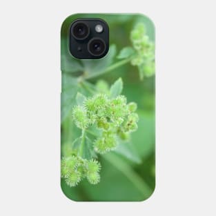 Green seeds poofy plant Phone Case