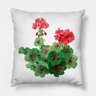 August 11th birthday flower Pillow