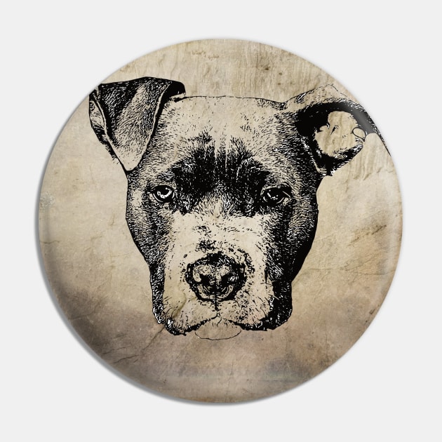 American Pit Bull Pin by DoggyStyles