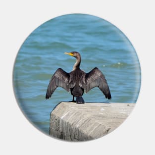 Double-Crested Cormorant With Its Wings Spread Pin