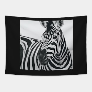 Everyone love zebra Tapestry