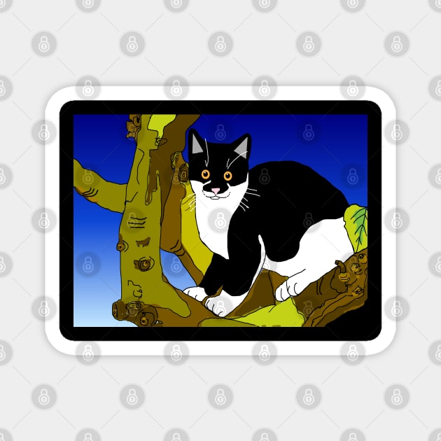 Cute Tuxedo Cat sitting in a tree  Copyright TeAnne Magnet by TeAnne