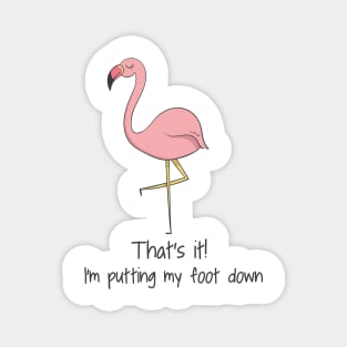 I'm Putting My Foot Down, Cute Funny Flamingo Bird Pun Magnet