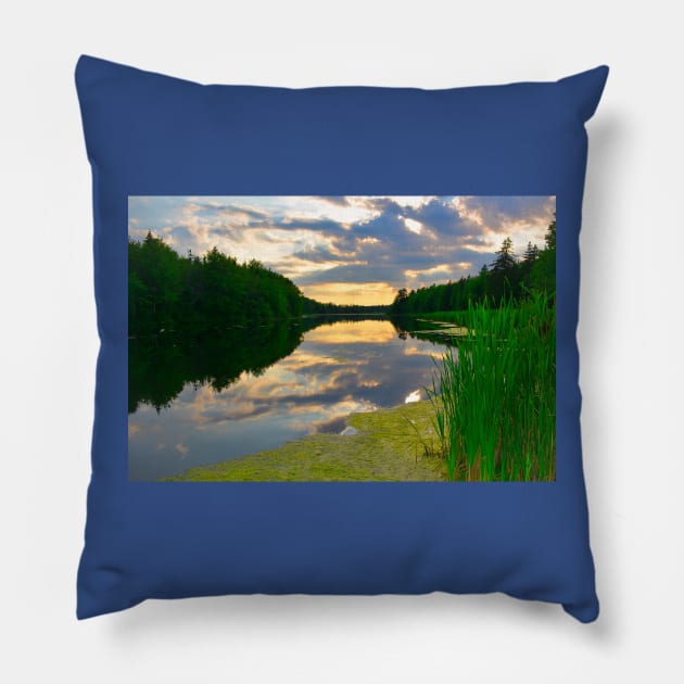 Tranquil Waters Pillow by rconyard