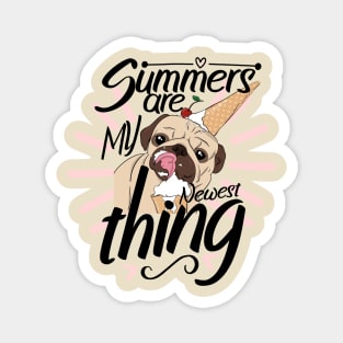 Summers are my newest thing pug funny Magnet