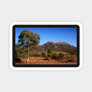 Outback Australia the Flinders Ranges Magnet