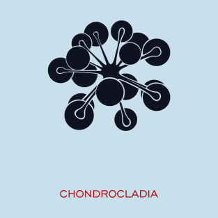 Chondrocladia T-Shirt