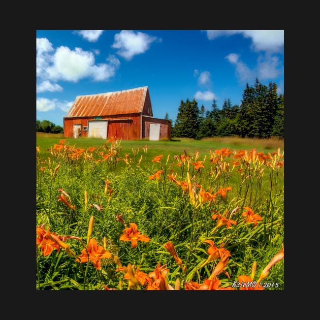 Old Barn in Cape Breton #2 by kenmo