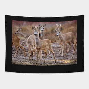 Roe deer family Tapestry