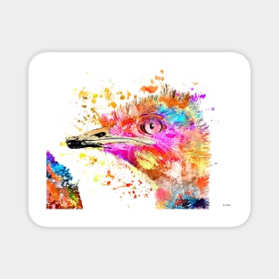 Colorful Ostrich Magnet