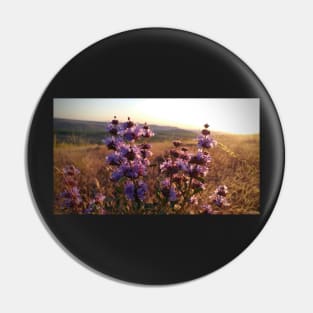 Purple Prairie Flower Sunset Pin