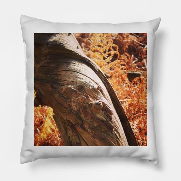 Wood grain and fern Pillow by Jonesyinc