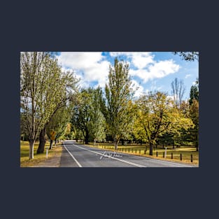 Mount Macedon Road, Mount Macedon, Victoria, Australia. T-Shirt