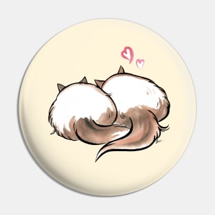 Two lovely Ragdoll cat Pin